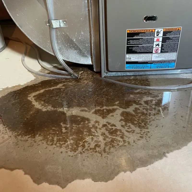 Pipe Burst and Leak Restoration in Harrah, OK